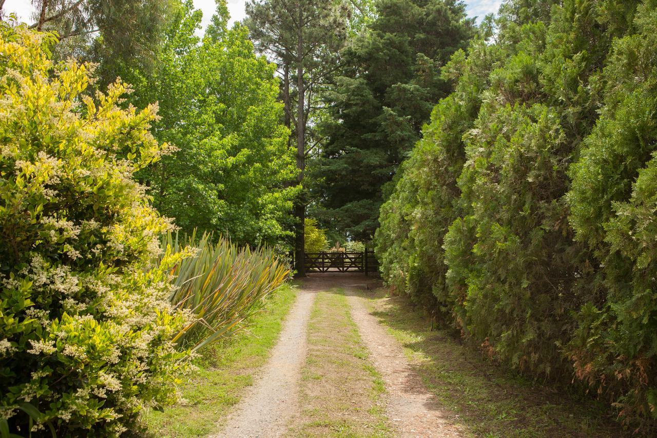 La Chacra - Hotel De Campo & Spa San Pedro  Bagian luar foto